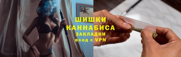 скорость Гусев