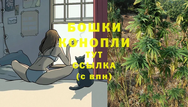 дживик Гусиноозёрск
