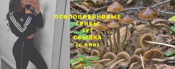 дживик Гусиноозёрск