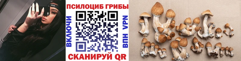 Галлюциногенные грибы Magic Shrooms  мега как войти  Жердевка 